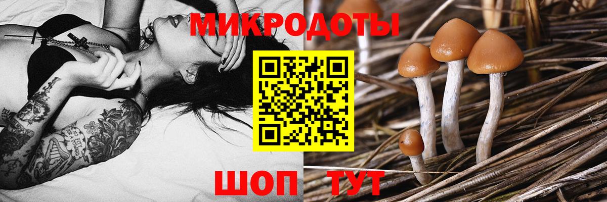 Галлюциногенные грибы GOLDEN TEACHER  Вход с VPN  Домодедово 